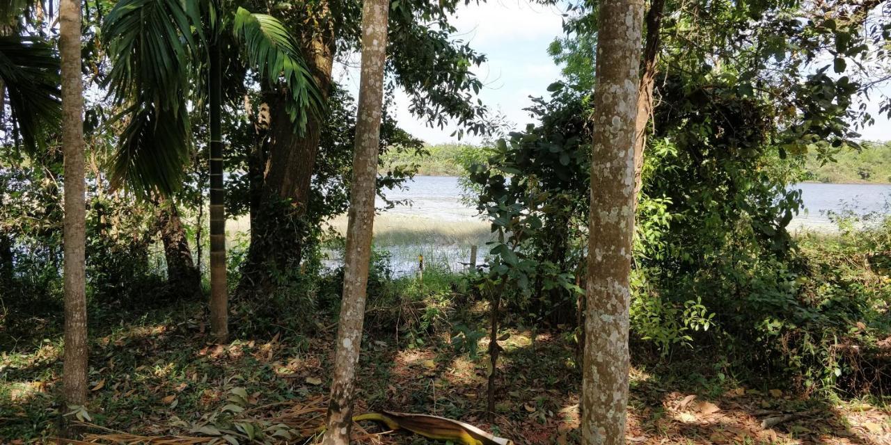 Sugamya Farm Guesthouse Sagar  Bagian luar foto