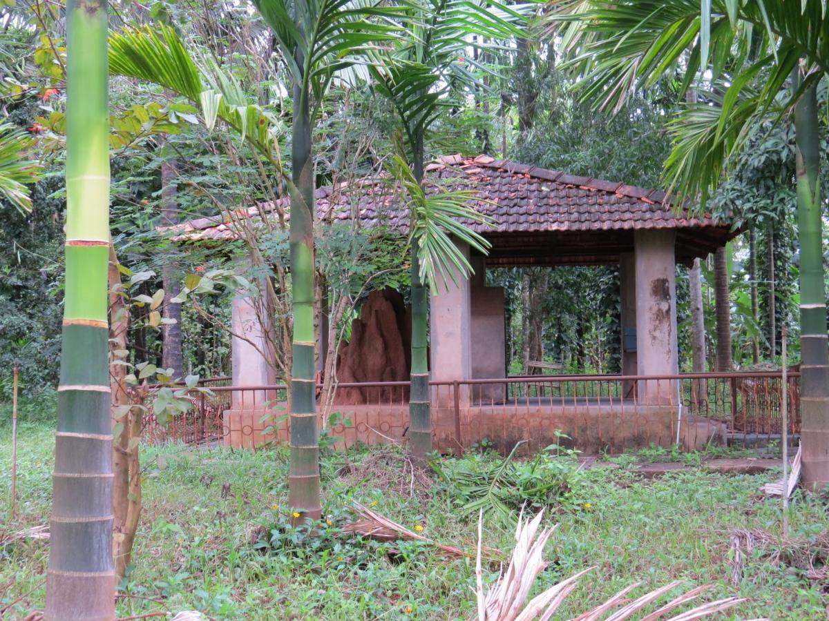 Sugamya Farm Guesthouse Sagar  Bagian luar foto