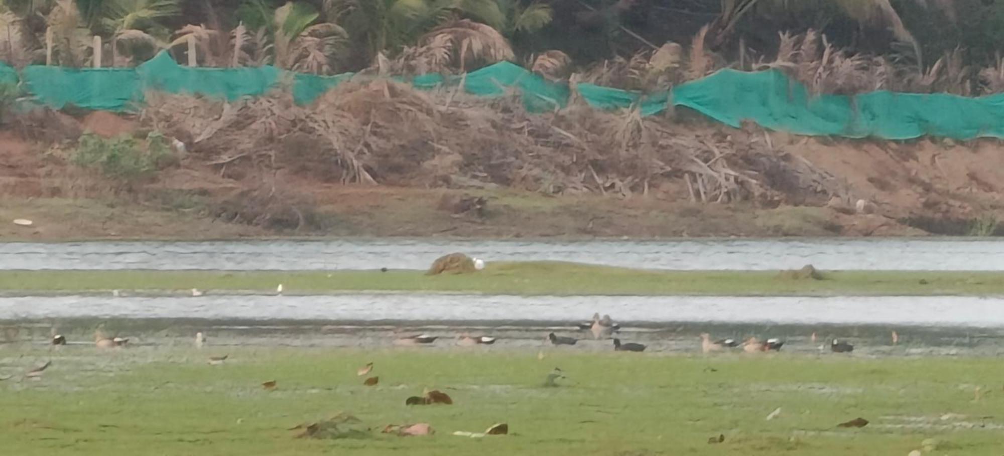 Sugamya Farm Guesthouse Sagar  Bagian luar foto