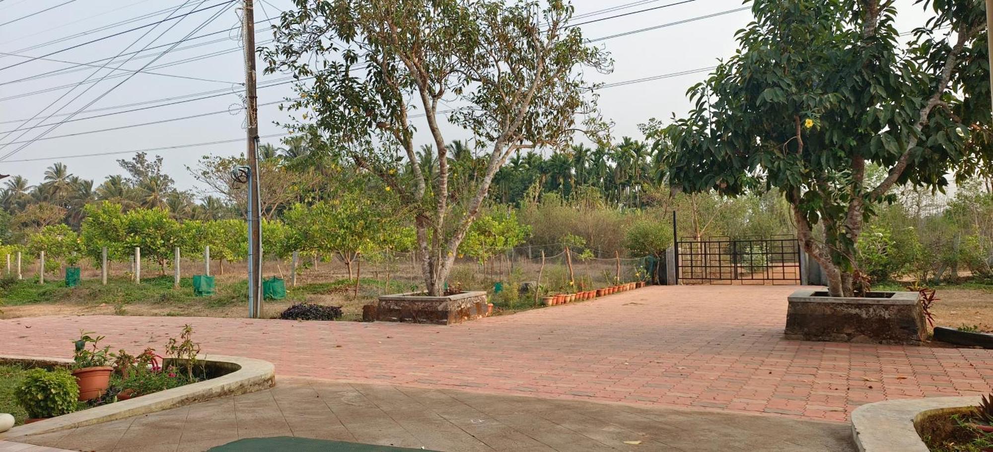 Sugamya Farm Guesthouse Sagar  Bagian luar foto