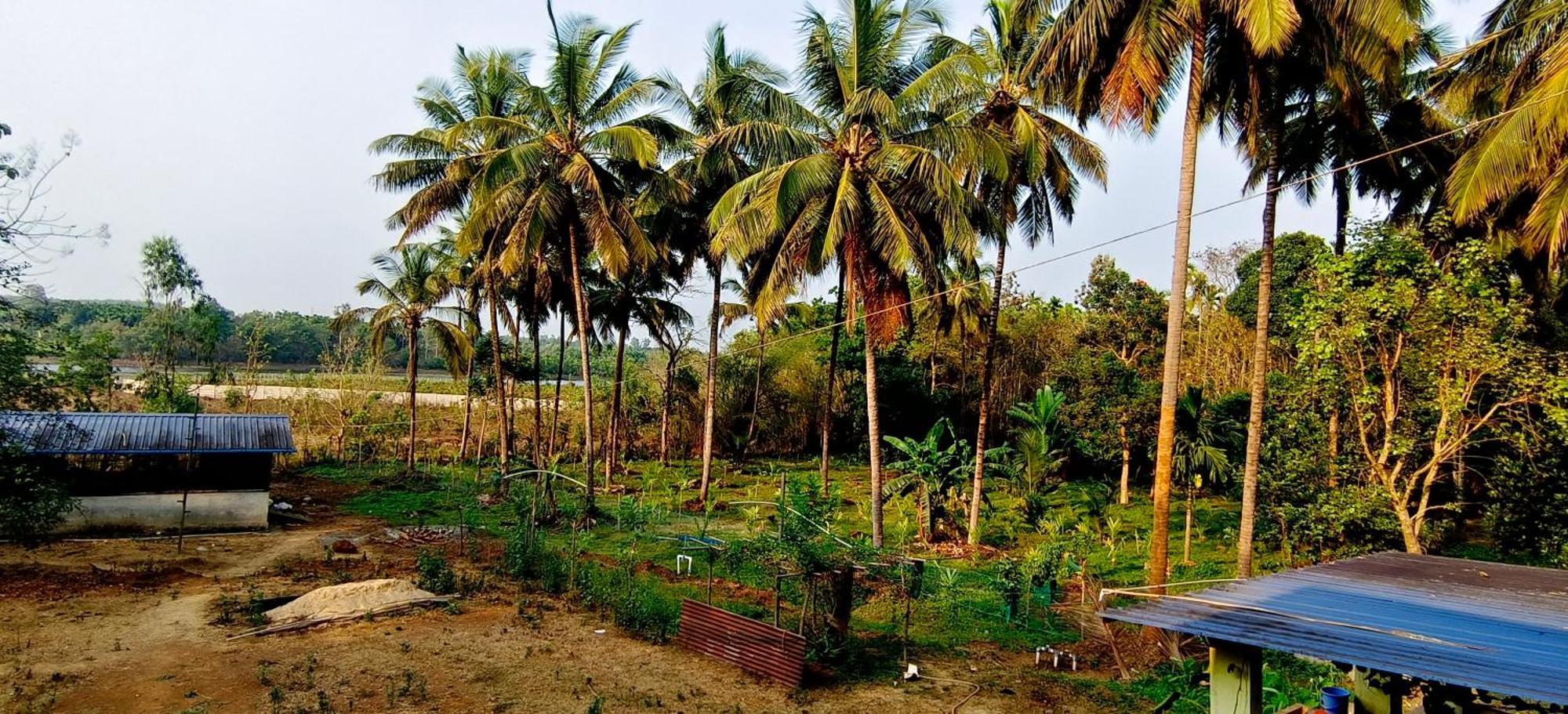 Sugamya Farm Guesthouse Sagar  Bagian luar foto