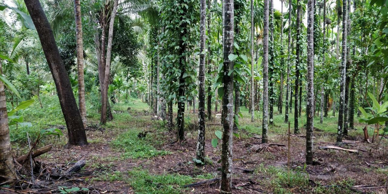 Sugamya Farm Guesthouse Sagar  Bagian luar foto